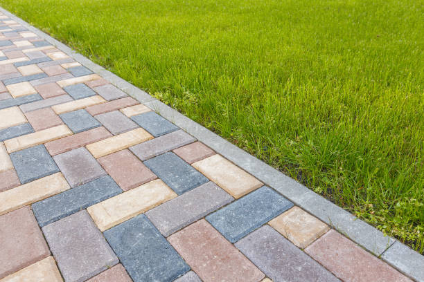 Best Driveway Paving Contractor  in Las Vegas, NV